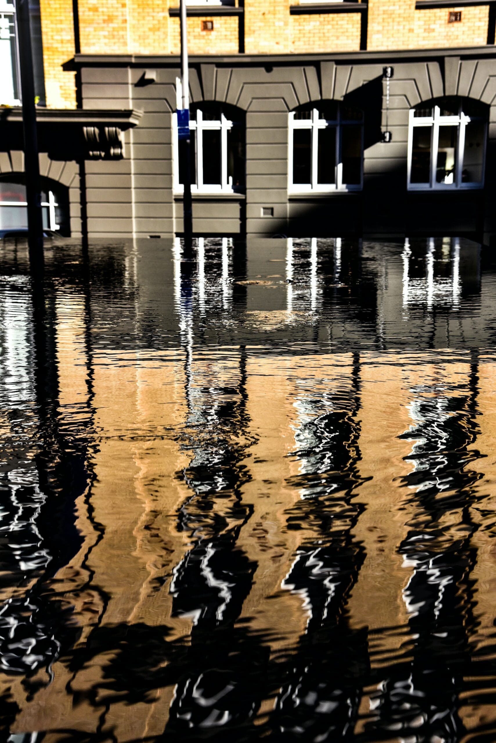 The Hidden Dangers of Water Damage: Mold, Mildew, and More