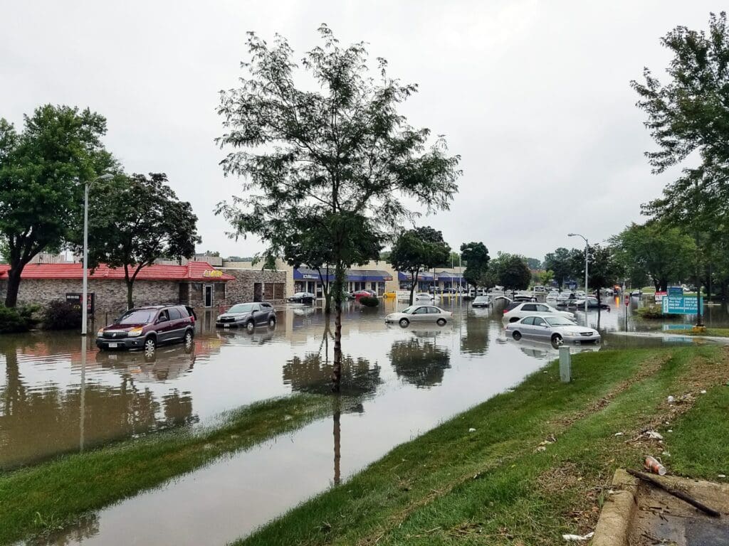 Identifying and Preventing the Most Common Types of Water Damage in Homes