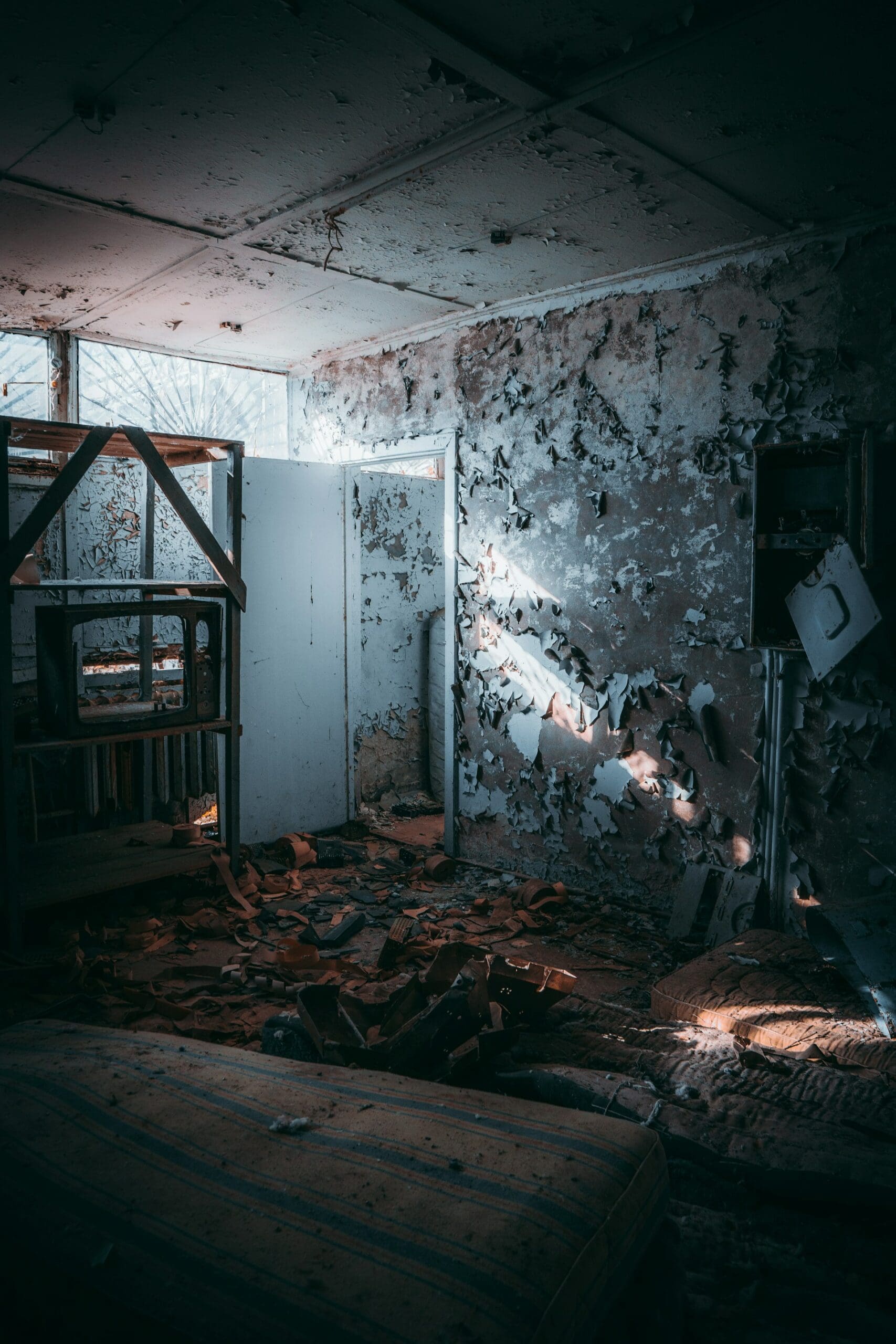 Moldy Basements: Common Causes and Practical Solutions