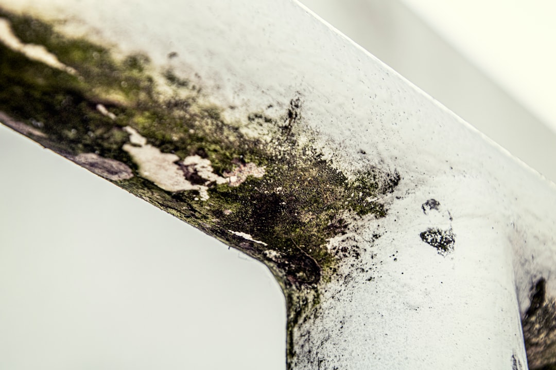 Close up of a weathered metallic frame with moss and grime showing a curved joint